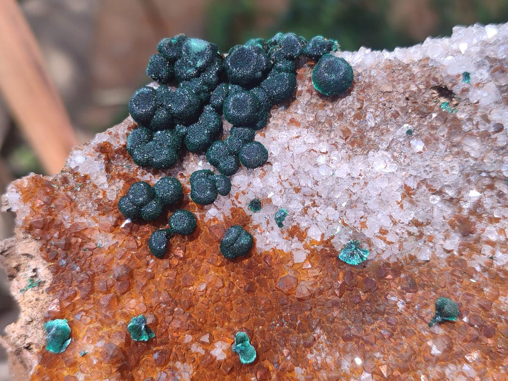 Natural Ball Malachite Specimens Coated with Drusy Quartz on Dolomite  x 2 From Mindingi Mine, Kambove, Congo