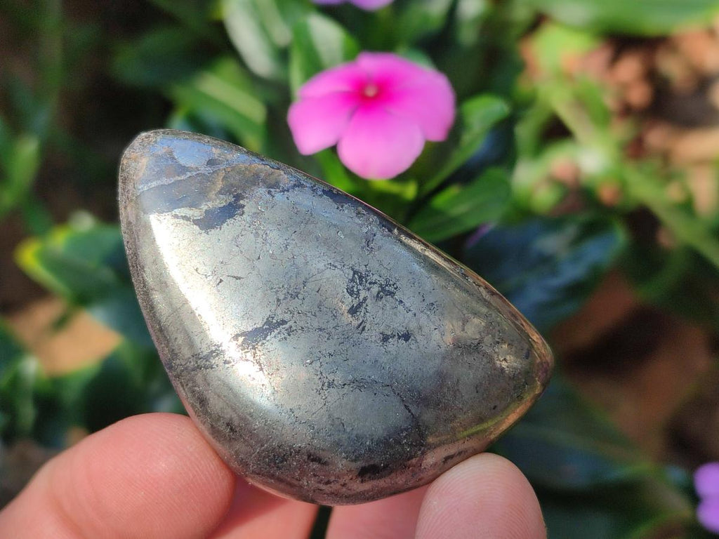 Polished Basalt Pharaoh Stone Free Forms x 12 From Iron Duke Mine, Zimbabwe