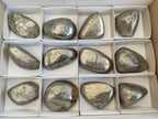 Polished Basalt Pharaoh Stone Free Forms x 12 From Iron Duke Mine, Zimbabwe