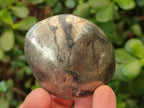 Polished Basalt Pharaoh Stone Free Forms x 12 From Iron Duke Mine, Zimbabwe