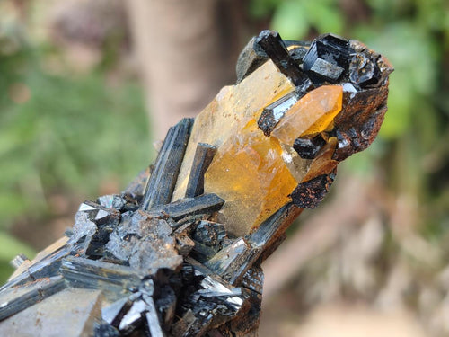 Natural Smokey Quartz Crystals with Schorl Black Tourmaline x 4 From Erongo, Namibia