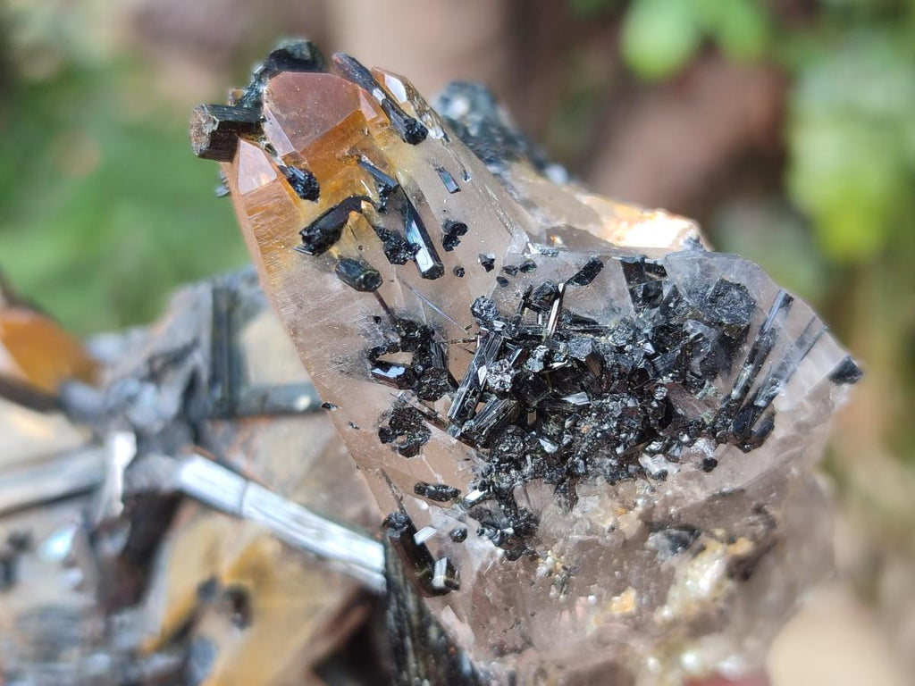 Natural Smokey Quartz Crystals with Schorl Black Tourmaline x 4 From Erongo, Namibia