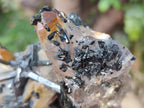 Natural Smokey Quartz Crystals with Schorl Black Tourmaline x 4 From Erongo, Namibia