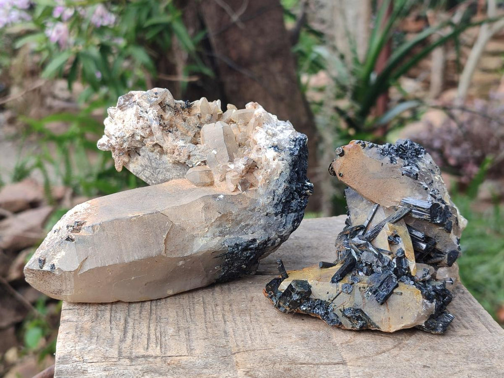 Natural Smokey Quartz Crystals with Schorl Black Tourmaline x 4 From Erongo, Namibia