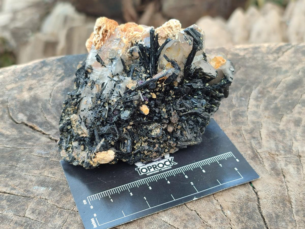 Natural Smokey Quartz Crystals with Schorl Black Tourmaline x 4 From Erongo, Namibia
