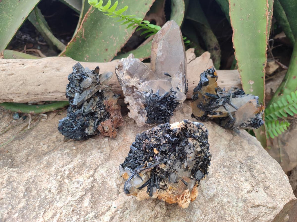 Natural Smokey Quartz Crystals with Schorl Black Tourmaline x 4 From Erongo, Namibia