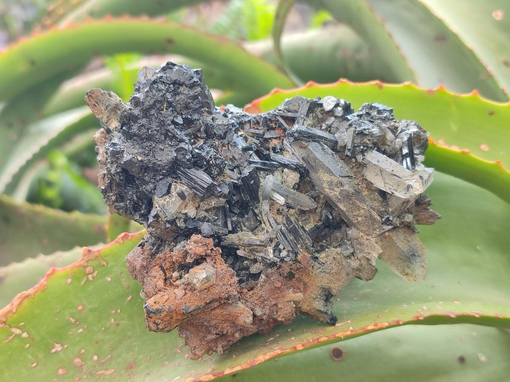 Natural Smokey Quartz Crystals with Schorl Black Tourmaline x 4 From Erongo, Namibia