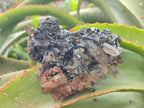 Natural Smokey Quartz Crystals with Schorl Black Tourmaline x 4 From Erongo, Namibia