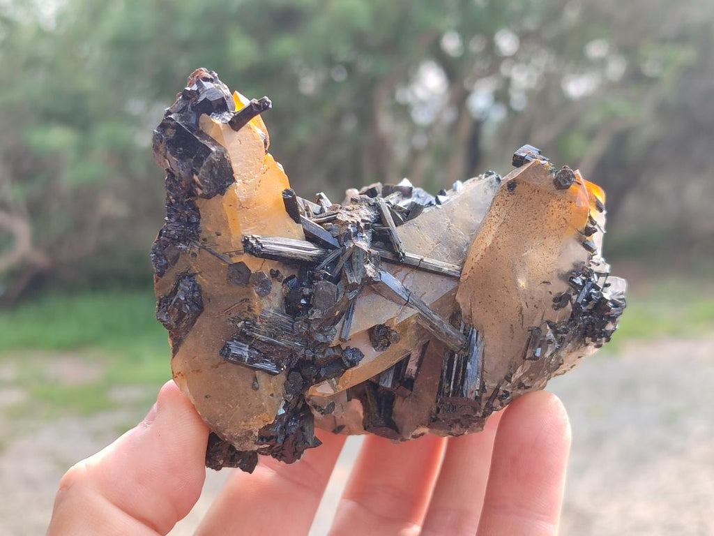 Natural Smokey Quartz Crystals with Schorl Black Tourmaline x 4 From Erongo, Namibia