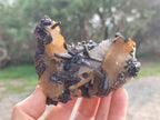 Natural Smokey Quartz Crystals with Schorl Black Tourmaline x 4 From Erongo, Namibia