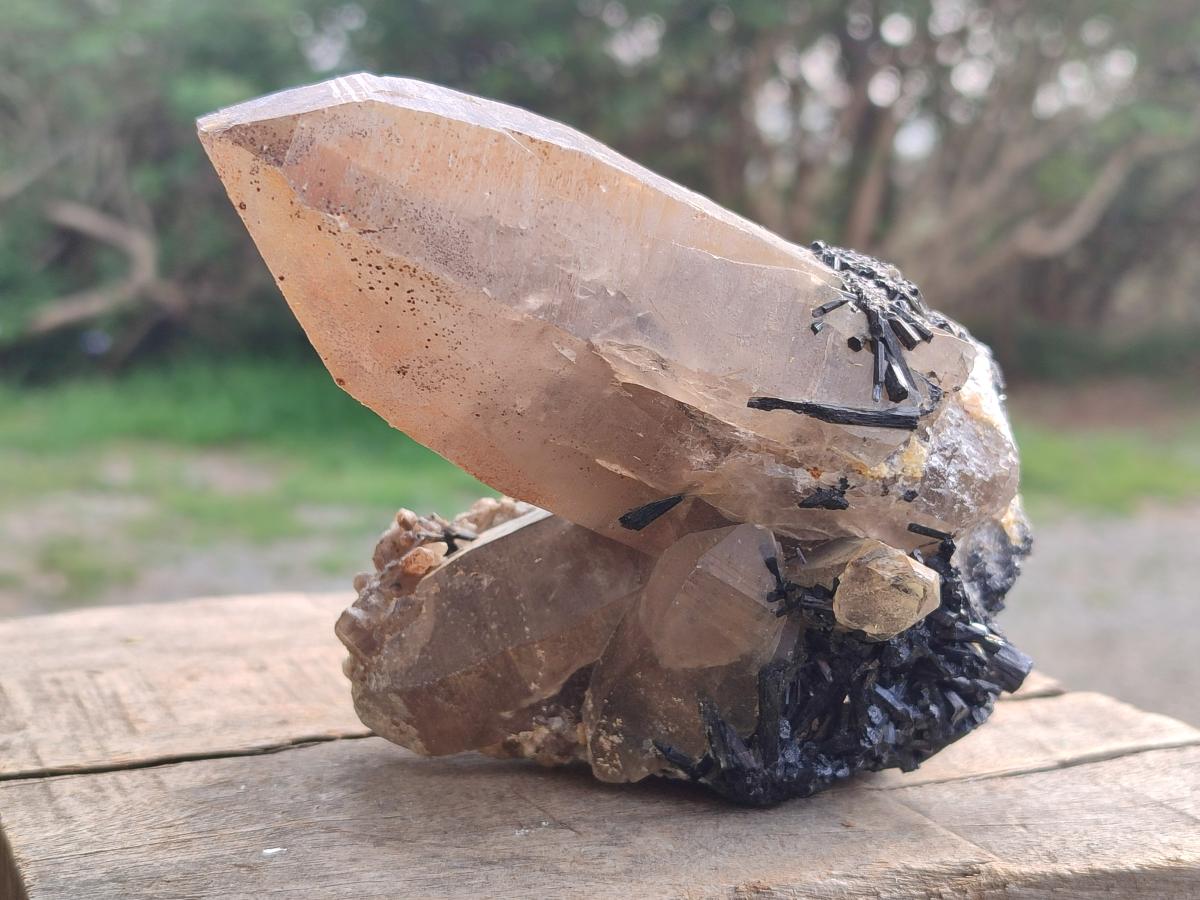 Natural Smokey Quartz Crystals with Schorl Black Tourmaline x 4 From Erongo, Namibia