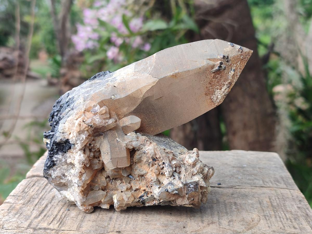 Natural Smokey Quartz Crystals with Schorl Black Tourmaline x 4 From Erongo, Namibia