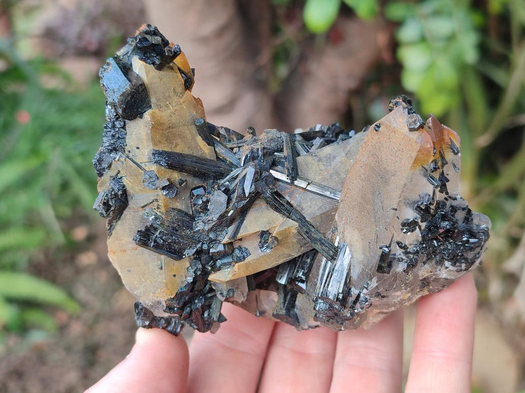 Natural Smokey Quartz Crystals with Schorl Black Tourmaline x 4 From Erongo, Namibia