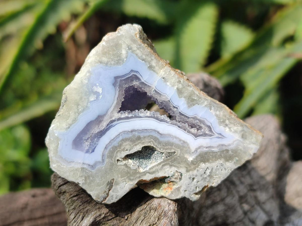 Polished One Side Blue Lace Agate Geodes x 20 From Nsanje, Malawi