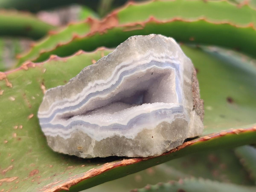 Polished One Side Blue Lace Agate Geodes x 20 From Nsanje, Malawi