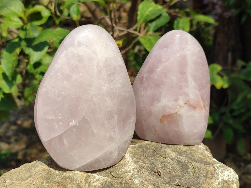 Polished Rose Quartz Standing Display Pieces x 6 From Zimbabwe