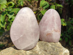 Polished Rose Quartz Standing Display Pieces x 6 From Zimbabwe