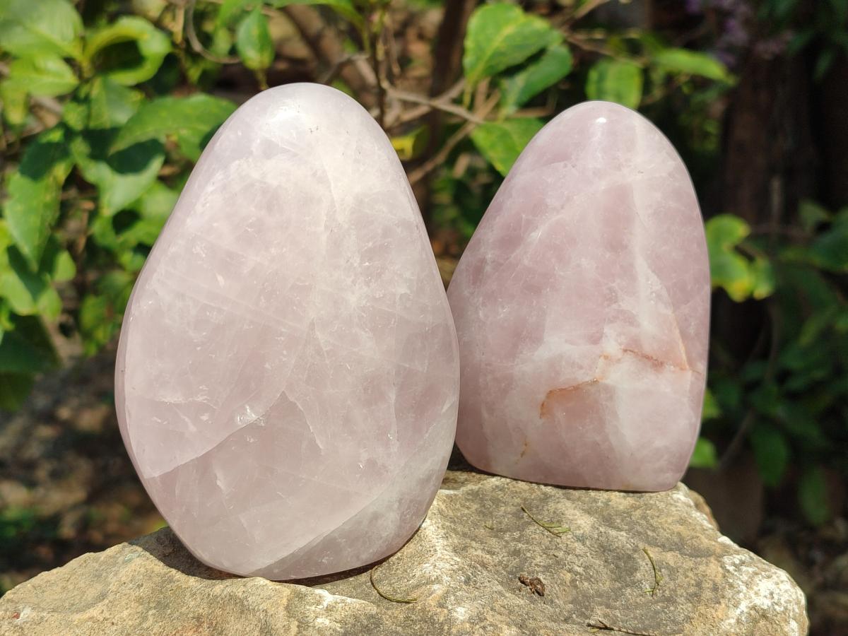 Polished Rose Quartz Standing Display Pieces x 6 From Zimbabwe