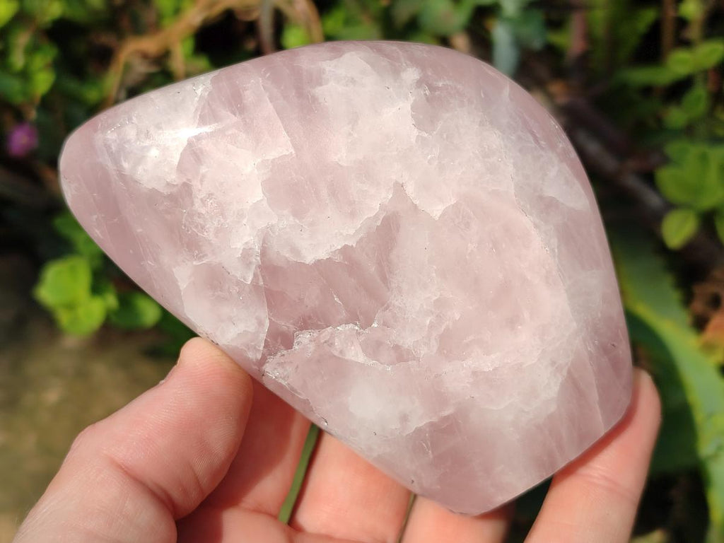 Polished Rose Quartz Standing Display Pieces x 6 From Zimbabwe