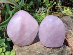 Polished Rose Quartz Standing Display Pieces x 6 From Zimbabwe