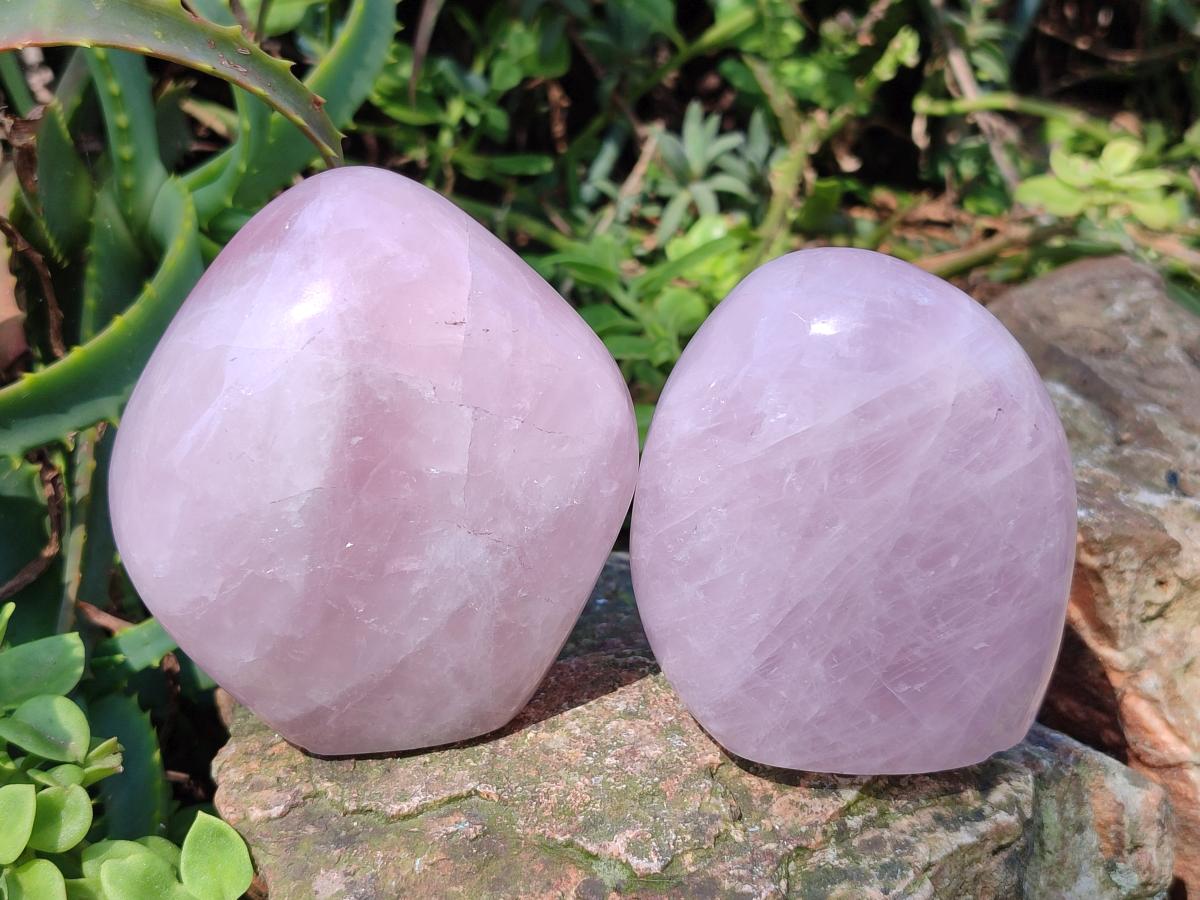 Polished Rose Quartz Standing Display Pieces x 6 From Zimbabwe
