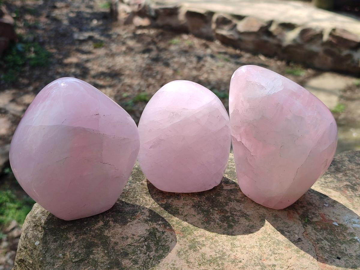 Polished Rose Quartz Standing Display Pieces x 6 From Zimbabwe