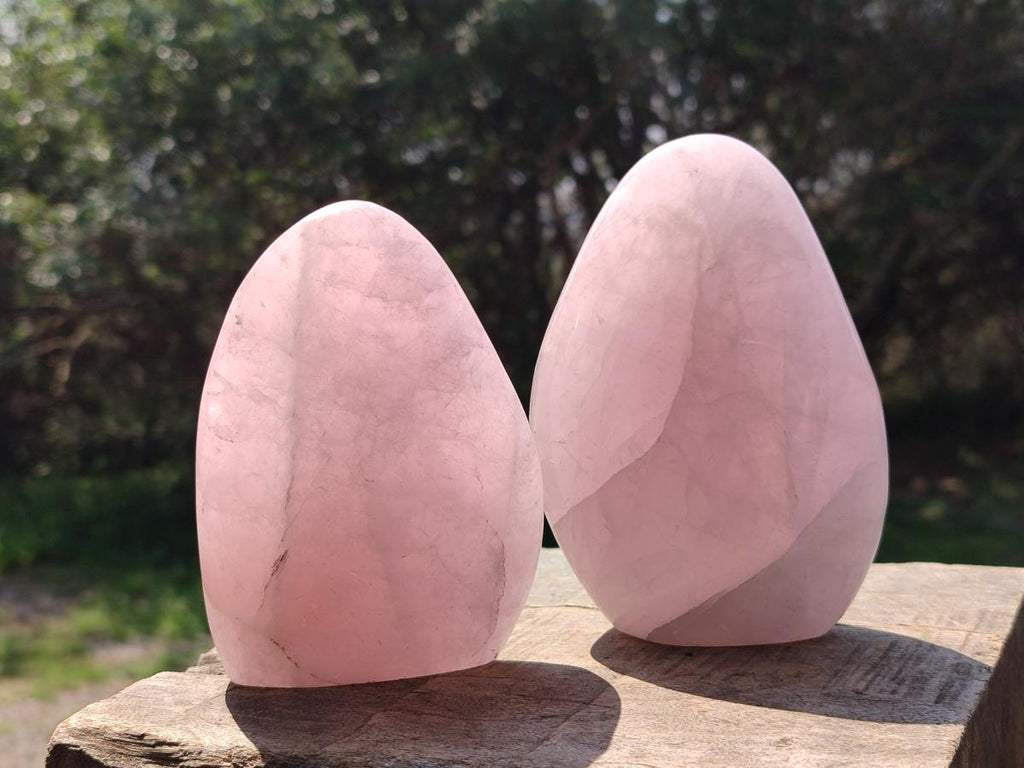 Polished Rose Quartz Standing Display Pieces x 6 From Zimbabwe