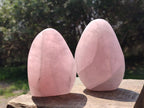 Polished Rose Quartz Standing Display Pieces x 6 From Zimbabwe