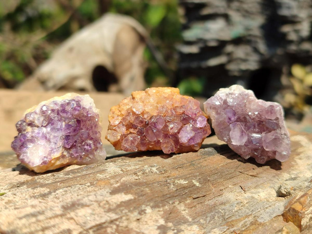 Natural Dark Purple Amethyst Clusters x 151 From Boekenhouthoek, South Africa