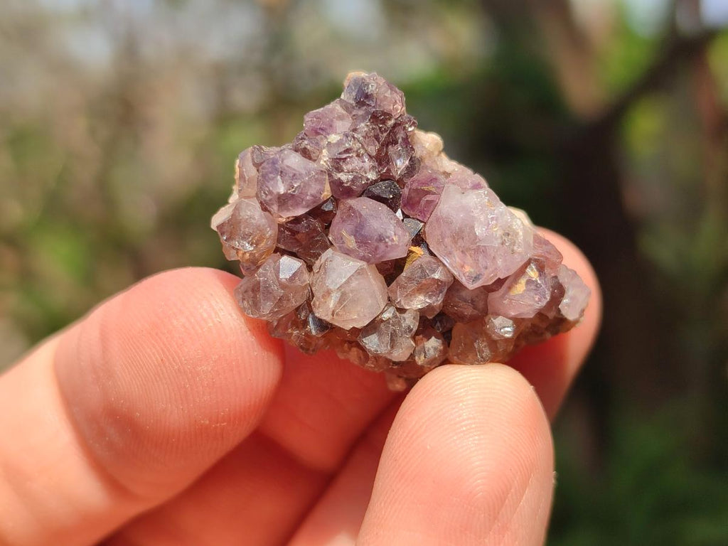 Natural Dark Purple Amethyst Clusters x 151 From Boekenhouthoek, South Africa