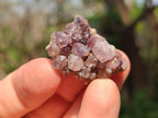 Natural Dark Purple Amethyst Clusters x 151 From Boekenhouthoek, South Africa