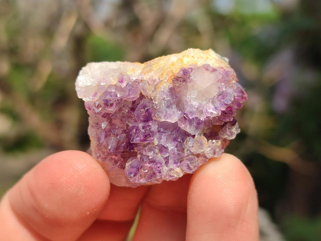 Natural Dark Purple Amethyst Clusters x 151 From Boekenhouthoek, South Africa