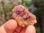Natural Dark Purple Amethyst Clusters x 151 From Boekenhouthoek, South Africa