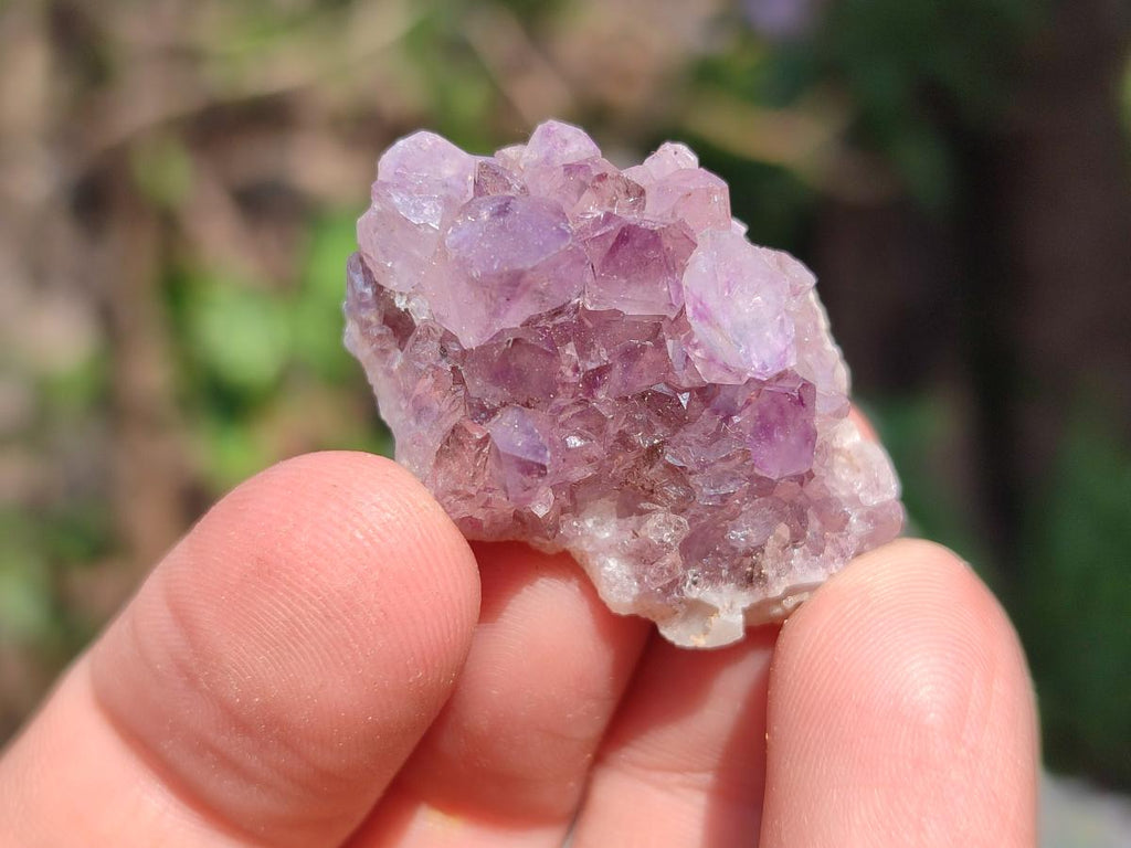 Natural Dark Purple Amethyst Clusters x 151 From Boekenhouthoek, South Africa