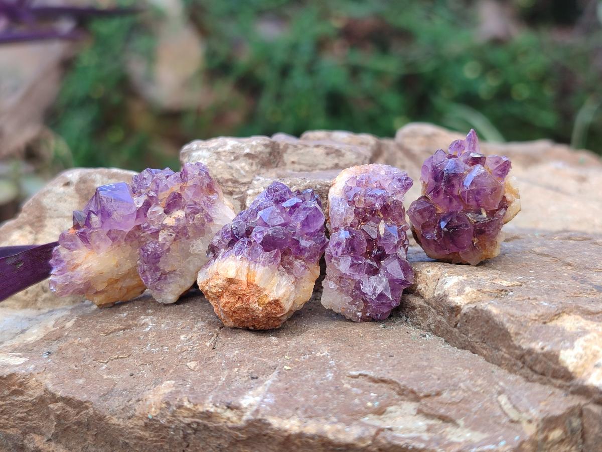 Natural Dark Purple Amethyst Clusters x 151 From Boekenhouthoek, South Africa