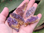 Natural Dark Purple Amethyst Clusters x 151 From Boekenhouthoek, South Africa