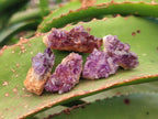Natural Dark Purple Amethyst Clusters x 151 From Boekenhouthoek, South Africa