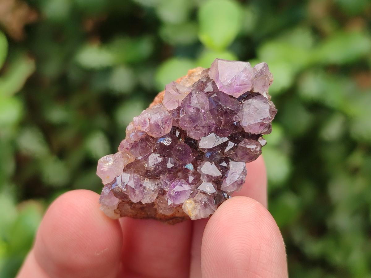 Natural Dark Purple Amethyst Clusters x 151 From Boekenhouthoek, South Africa