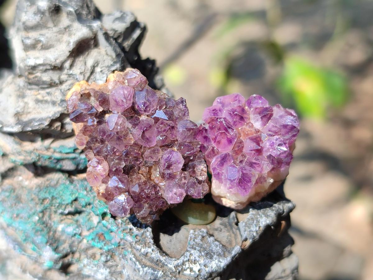 Natural Dark Purple Amethyst Clusters x 151 From Boekenhouthoek, South Africa