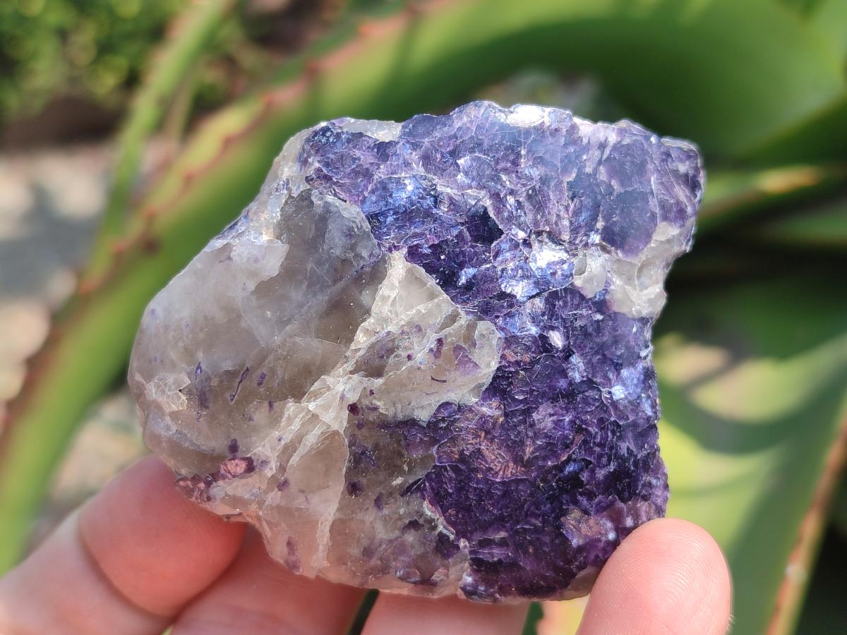 Polished One Side Lithium Silver Leaf Lepidolite x 24 From Zimbabwe