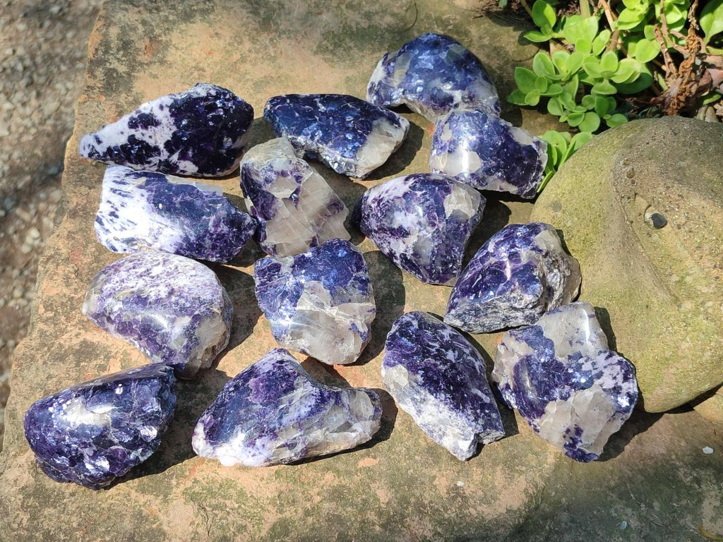 Polished One Side Lithium Silver Leaf Lepidolite x 24 From Zimbabwe