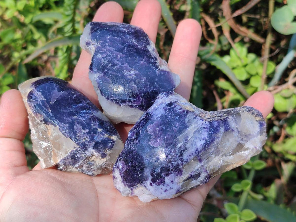 Polished One Side Lithium Silver Leaf Lepidolite x 24 From Zimbabwe