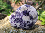 Polished One Side Lithium Silver Leaf Lepidolite x 24 From Zimbabwe