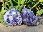 Polished One Side Lithium Silver Leaf Lepidolite x 24 From Zimbabwe