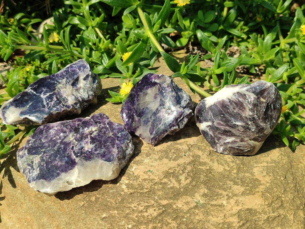 Polished One Side Lithium Silver Leaf Lepidolite x 24 From Zimbabwe