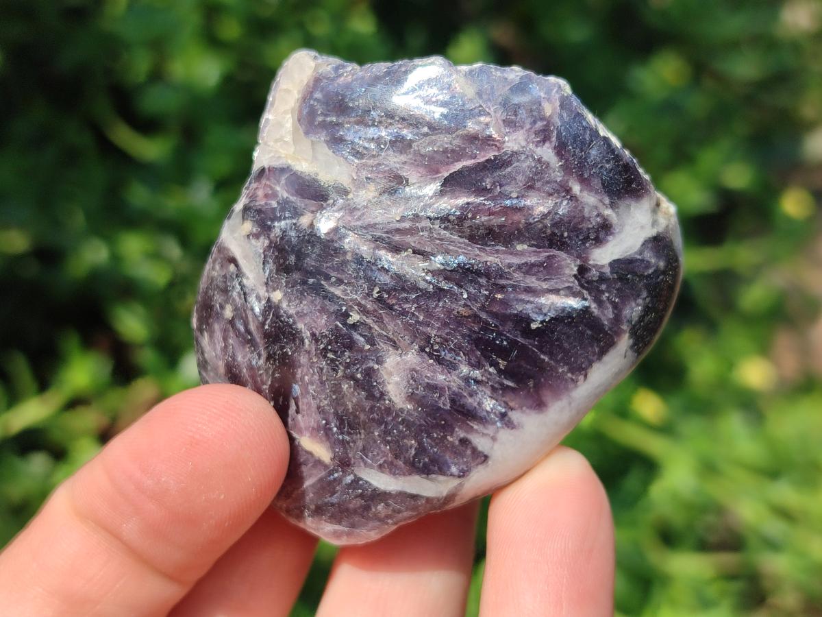 Polished One Side Lithium Silver Leaf Lepidolite x 24 From Zimbabwe