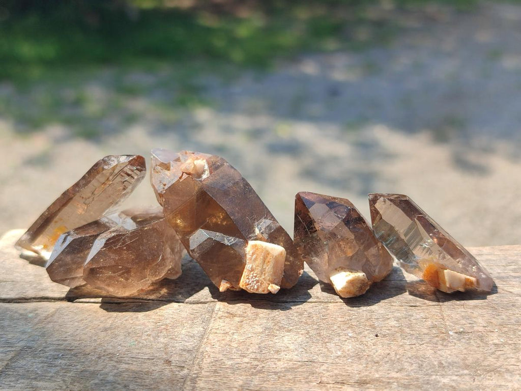 Natural Aegirine Crystals with Associated Minerals x 41 From Zomba, Malawi
