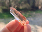 Natural Aegirine Crystals with Associated Minerals x 41 From Zomba, Malawi