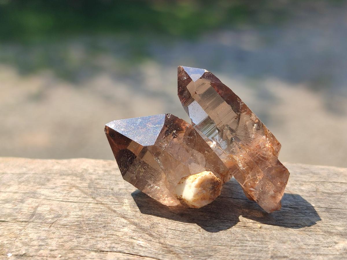 Natural Aegirine Crystals with Associated Minerals x 41 From Zomba, Malawi