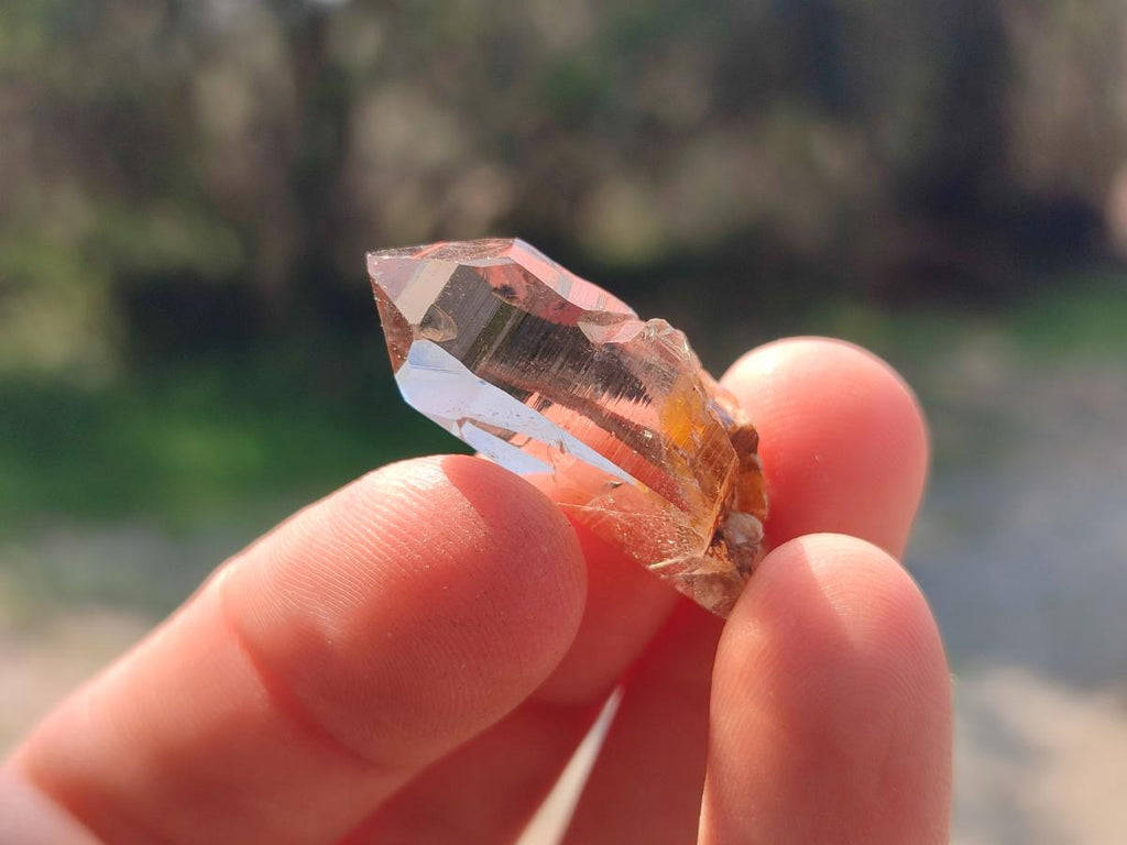 Natural Aegirine Crystals with Associated Minerals x 41 From Zomba, Malawi
